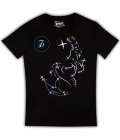 Козерог  - звезды